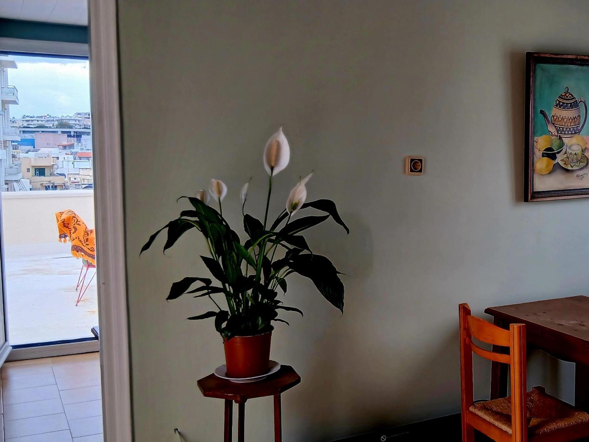 הרקליון Doukas Rooms Herakleio Crete מראה חיצוני תמונה